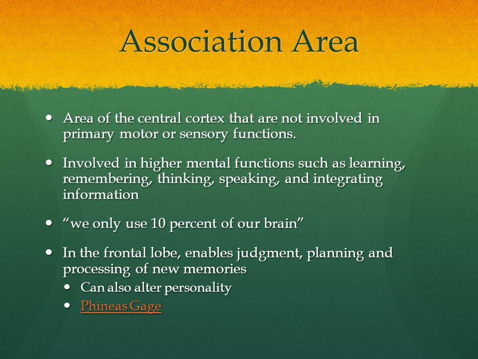 Association Area Area of the central cortex that are not involved in primary motor or sensory functions.