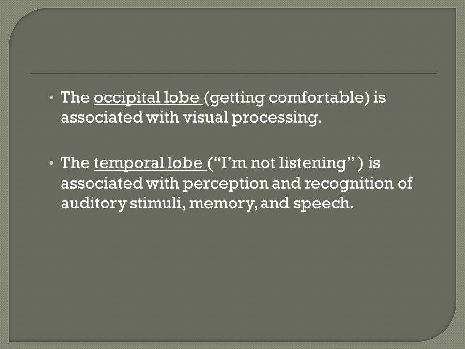 The occipital lobe (getting comfortable) is associated with visual processing.