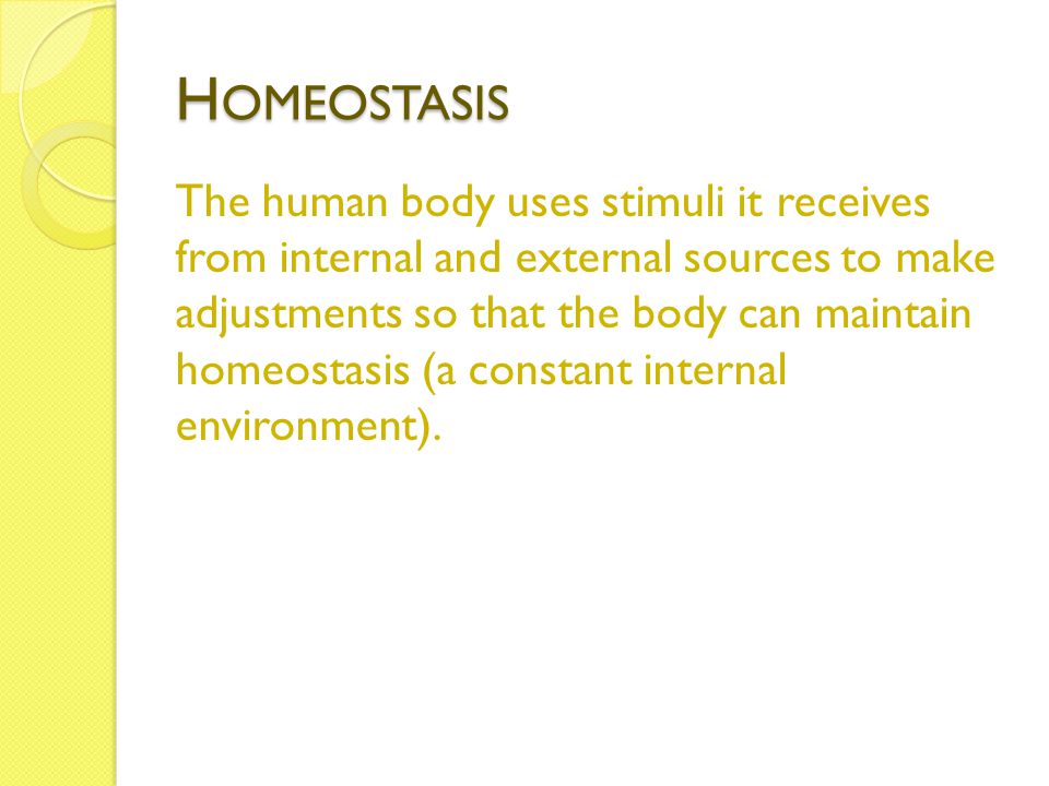 H OMEOSTASIS The human body uses stimuli it receives from internal and external sources to make adjustments so that the body can maintain homeostasis (a constant internal environment).