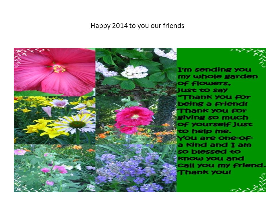 Happy 2014 to you our friends
