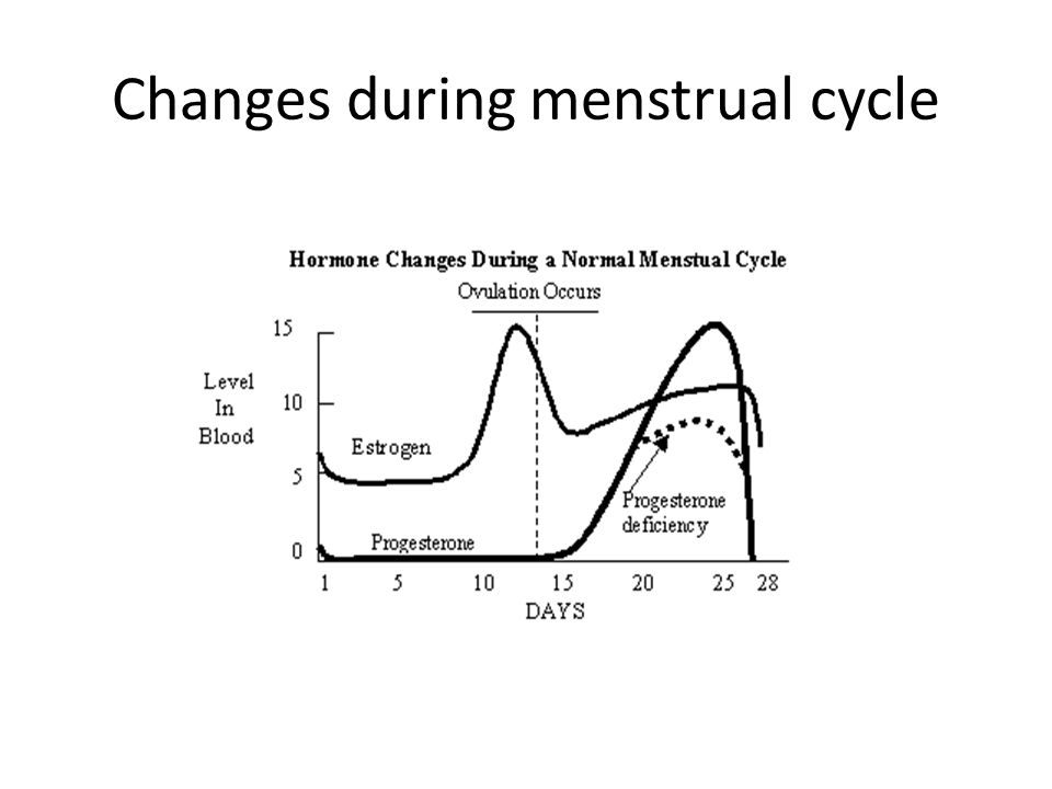 Changes during menstrual cycle