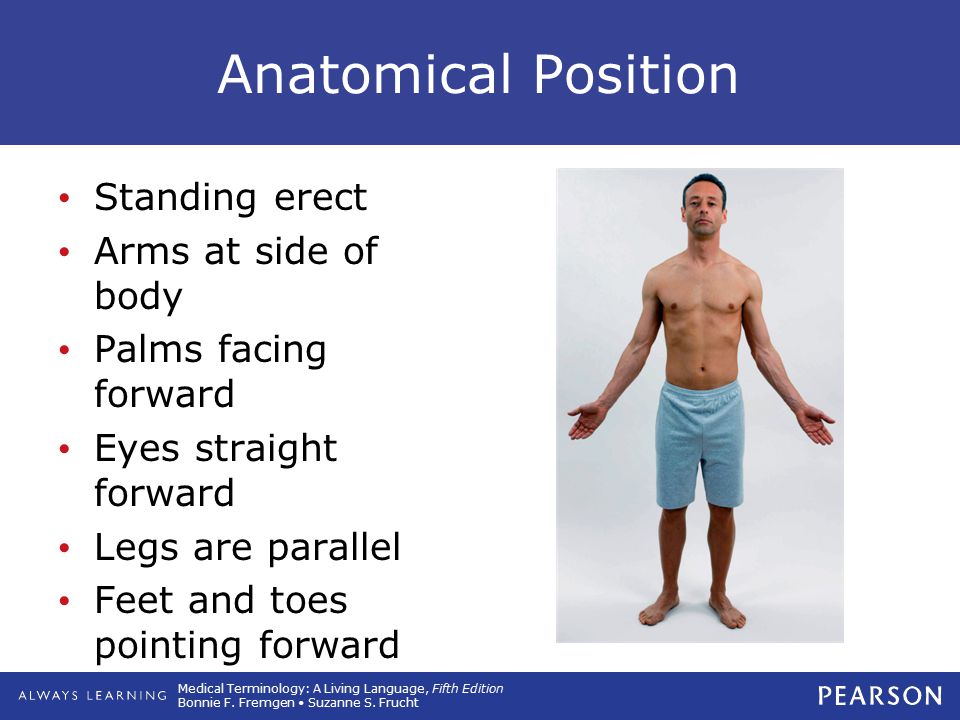 medical terminology report medical terminology report