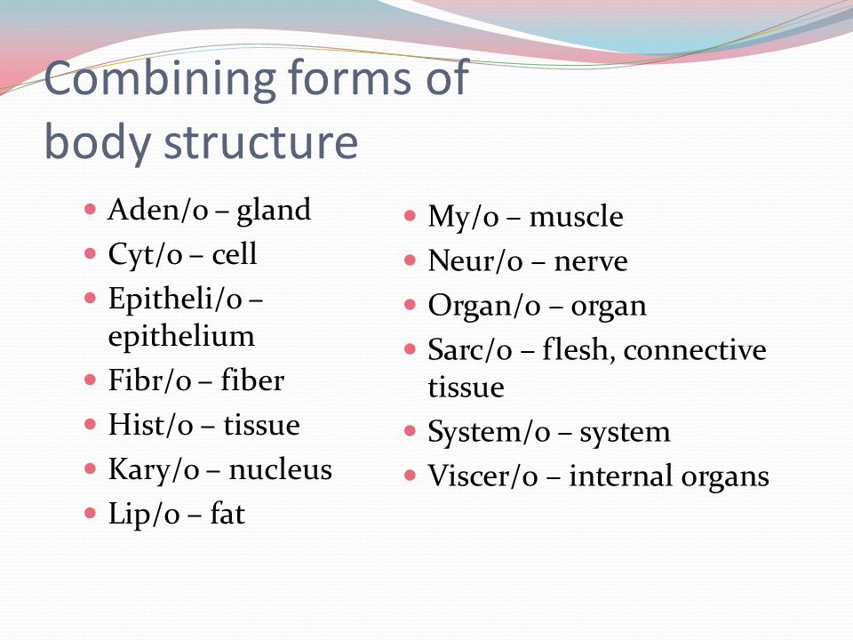 hs111 medical terminology seminar march 30 th april 5 th ppt combining form meaning nucleus