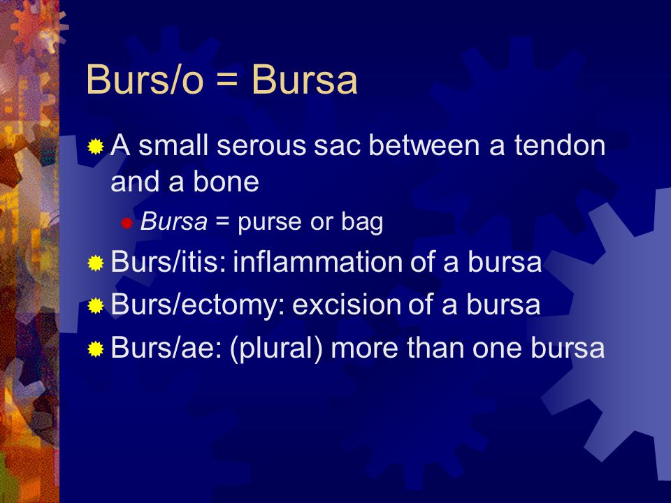 medical terminology unit 4 orthopedics osteopathy and body regions plural form of bursa