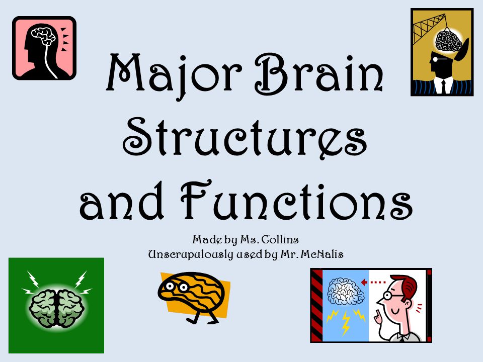 Major Brain Structures and Functions Made by Ms. Collins Unscrupulously used by Mr. McNalis