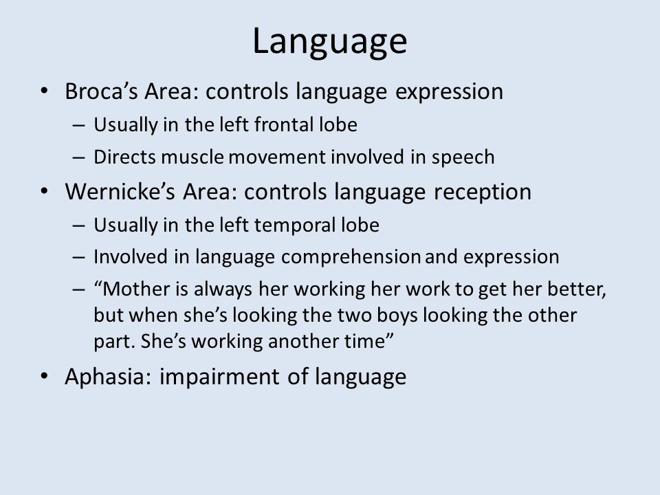 Language Broca’s Area: controls language expression – Usually in the left frontal lobe – Directs muscle movement involved in speech Wernicke’s Area: controls language reception – Usually in the left temporal lobe – Involved in language comprehension and expression – Mother is always her working her work to get her better, but when she’s looking the two boys looking the other part.