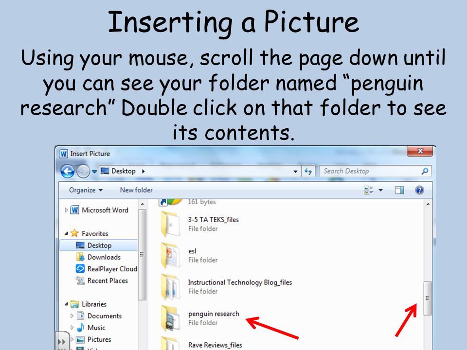 Inserting a Picture Using your mouse, scroll the page down until you can see your folder named penguin research Double click on that folder to see its contents.