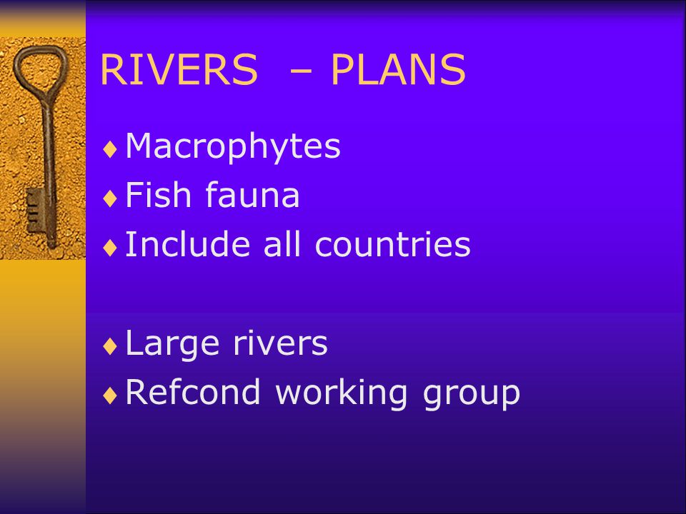 RIVERS – PLANS  Macrophytes  Fish fauna  Include all countries  Large rivers  Refcond working group