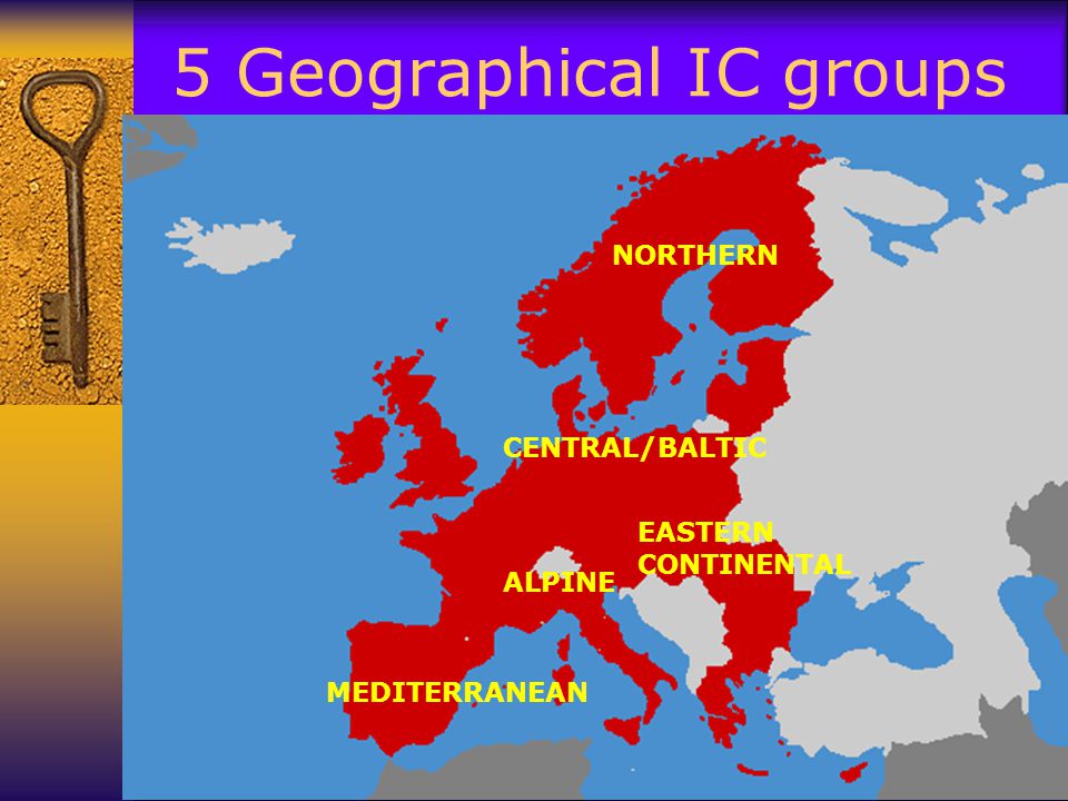 5 Geographical IC groups NORTHERN MEDITERRANEAN EASTERN CONTINENTAL CENTRAL/BALTIC ALPINE