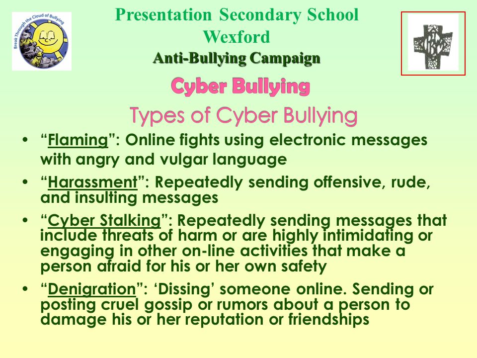 Cyber Bullies may: Spread lies about students Spread rumours about students Circulate pictures without consent Circulate altered pictures without consent Trick people into revealing personal information Circulate personal information about someone without consent Presentation Secondary School Wexford Anti-Bullying Campaign School Crest Here