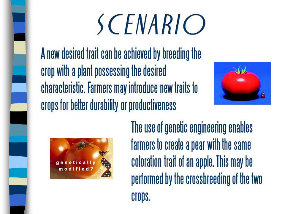 A new desired trait can be achieved by breeding the crop with a plant possessing the desired characteristic.