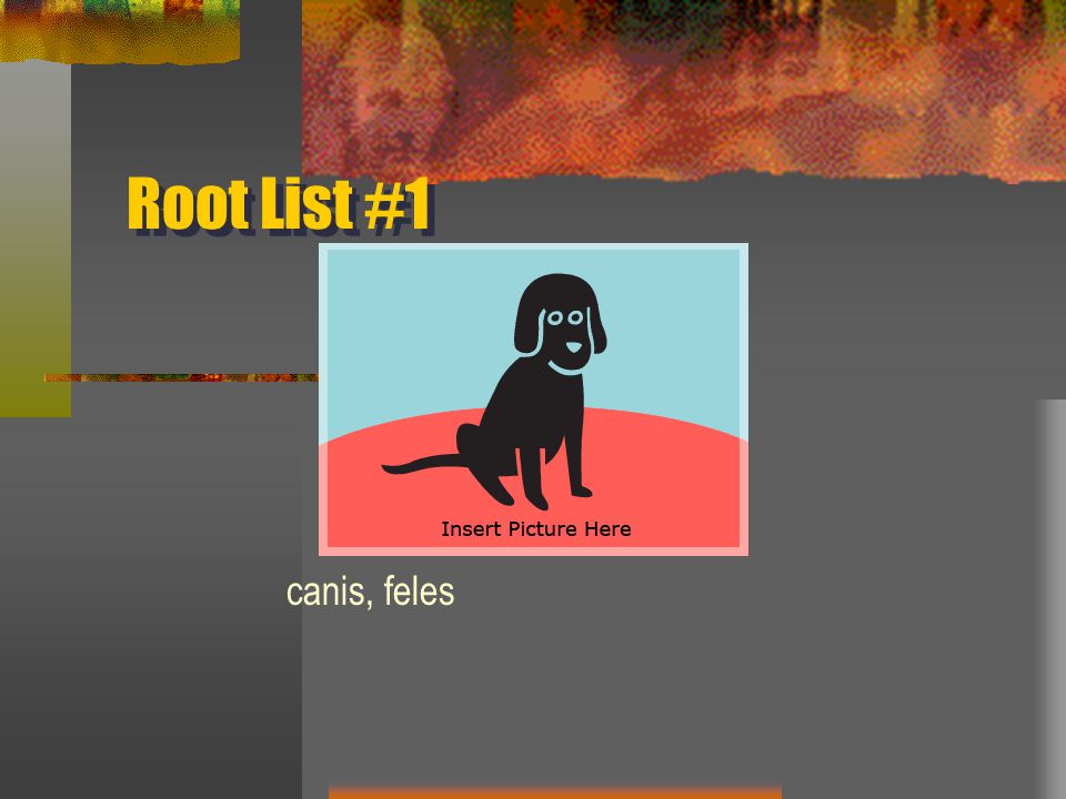 Root List #1 canis, feles