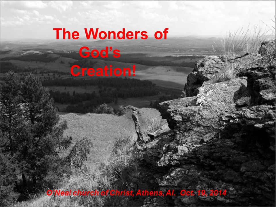 The Wonders of God’s Creation! O’Neal church of Christ, Athens, Al. Oct. 19, 2014