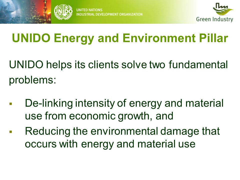 UNIDO Energy and Environment Pillar UNIDO helps its clients solve two fundamental problems:  De-linking intensity of energy and material use from economic growth, and  Reducing the environmental damage that occurs with energy and material use