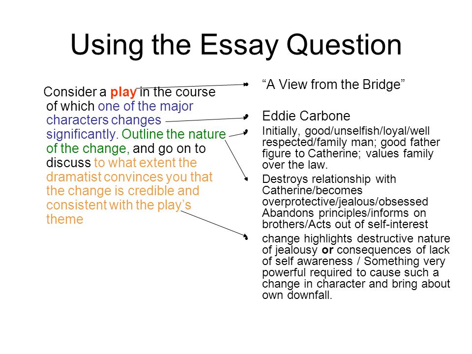 A view from the bridge essays