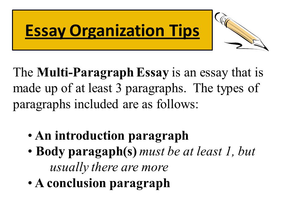 Types of Essays, Learn About Different Essay Types