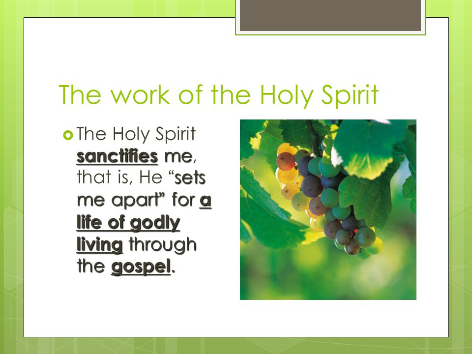 The work of the Holy Spirit sanctifies me sets me apart for a life of godly living through the gospel.