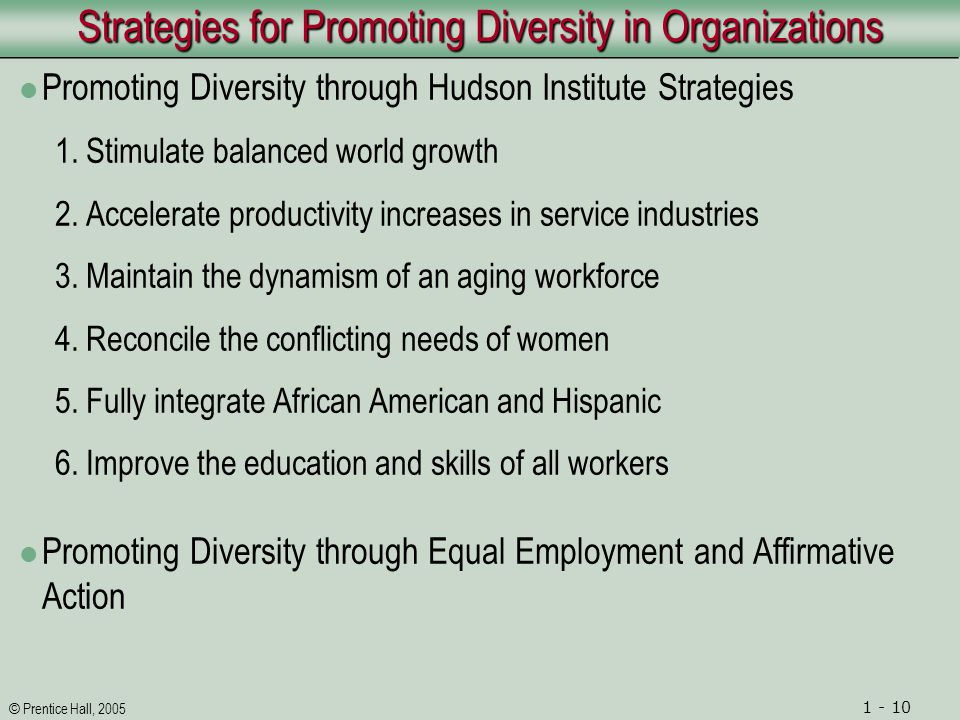 © Prentice Hall, Strategies for Promoting Diversity in Organizations Promoting Diversity through Hudson Institute Strategies 1.