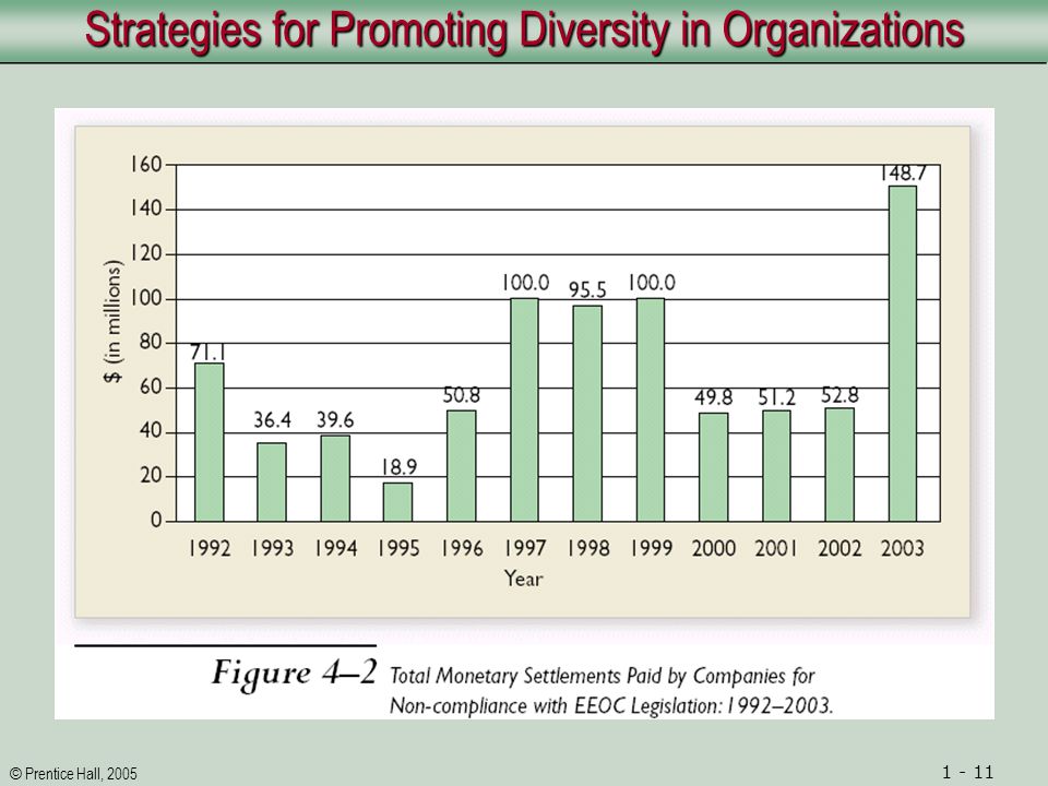 © Prentice Hall, Strategies for Promoting Diversity in Organizations