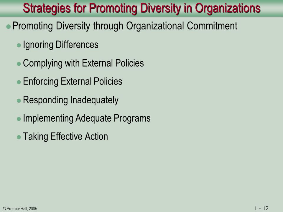© Prentice Hall, Strategies for Promoting Diversity in Organizations Promoting Diversity through Organizational Commitment Ignoring Differences Complying with External Policies Enforcing External Policies Responding Inadequately Implementing Adequate Programs Taking Effective Action