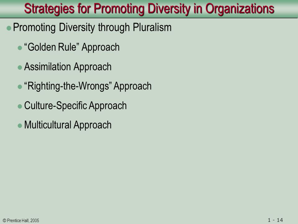 © Prentice Hall, Strategies for Promoting Diversity in Organizations Promoting Diversity through Pluralism Golden Rule Approach Assimilation Approach Righting-the-Wrongs Approach Culture-Specific Approach Multicultural Approach