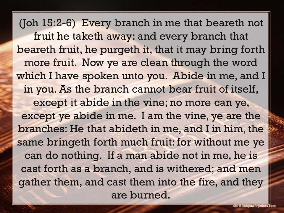 (Joh 15:2-6) Every branch in me that beareth not fruit he taketh away: and every branch that beareth fruit, he purgeth it, that it may bring forth more fruit.