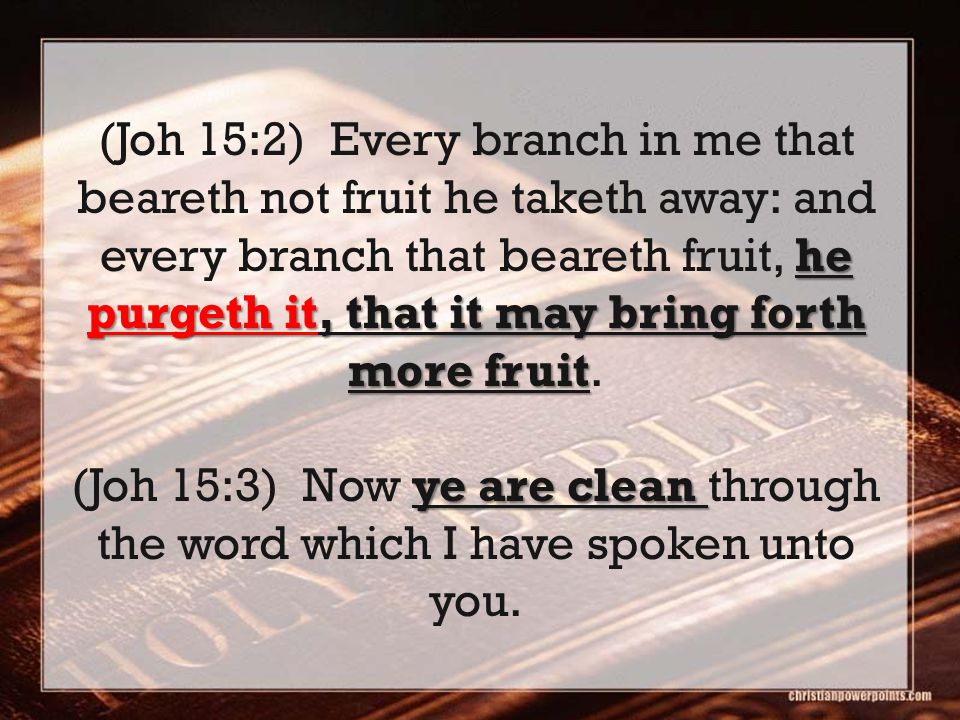 he purgeth it, that it may bring forth more fruit (Joh 15:2) Every branch in me that beareth not fruit he taketh away: and every branch that beareth fruit, he purgeth it, that it may bring forth more fruit.