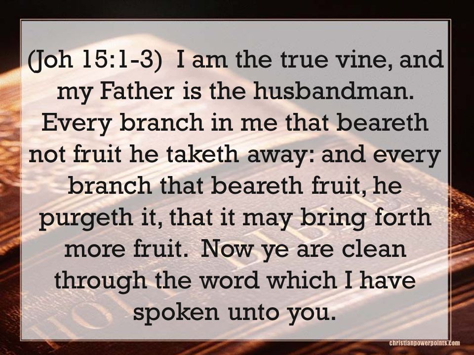 (Joh 15:1-3) I am the true vine, and my Father is the husbandman.