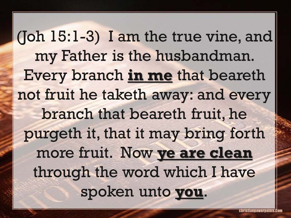 in me ye are clean you (Joh 15:1-3) I am the true vine, and my Father is the husbandman.