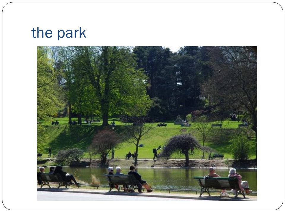 the park
