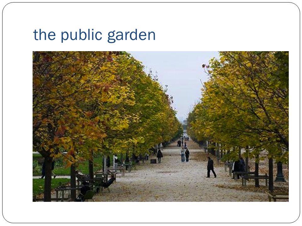 the public garden