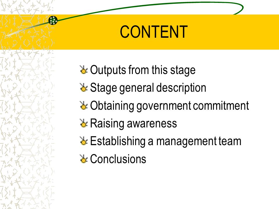 CONTENT Outputs from this stage Stage general description Obtaining government commitment Raising awareness Establishing a management team Conclusions