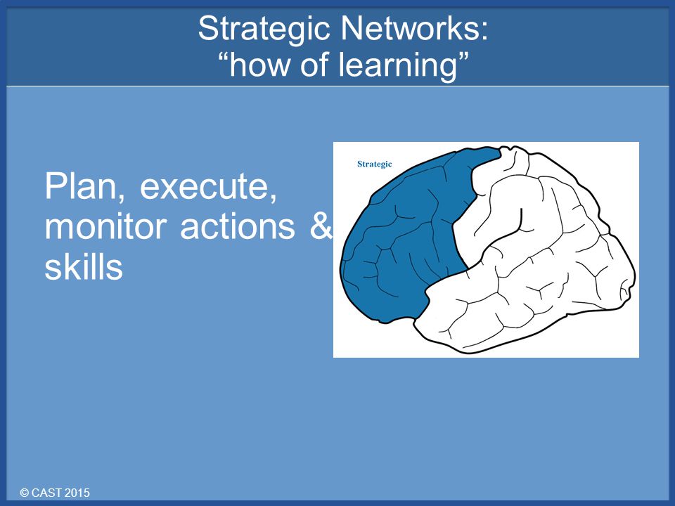 © CAST 2015 Plan, execute, monitor actions & skills Strategic Networks: how of learning