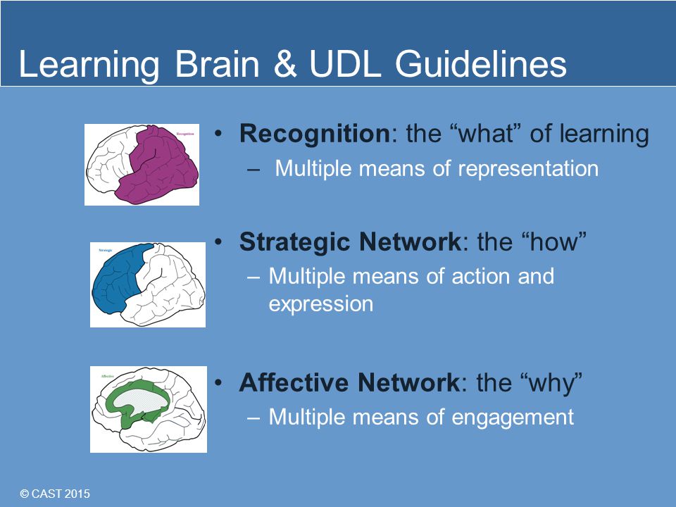 © CAST 2015 Learning Brain & UDL Guidelines Recognition: the what of learning – Multiple means of representation Strategic Network: the how –Multiple means of action and expression Affective Network: the why –Multiple means of engagement