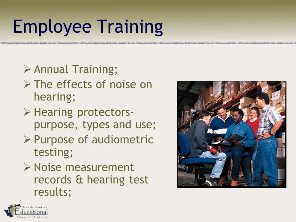 Employee Training  Annual Training;  The effects of noise on hearing;  Hearing protectors- purpose, types and use;  Purpose of audiometric testing;  Noise measurement records & hearing test results;