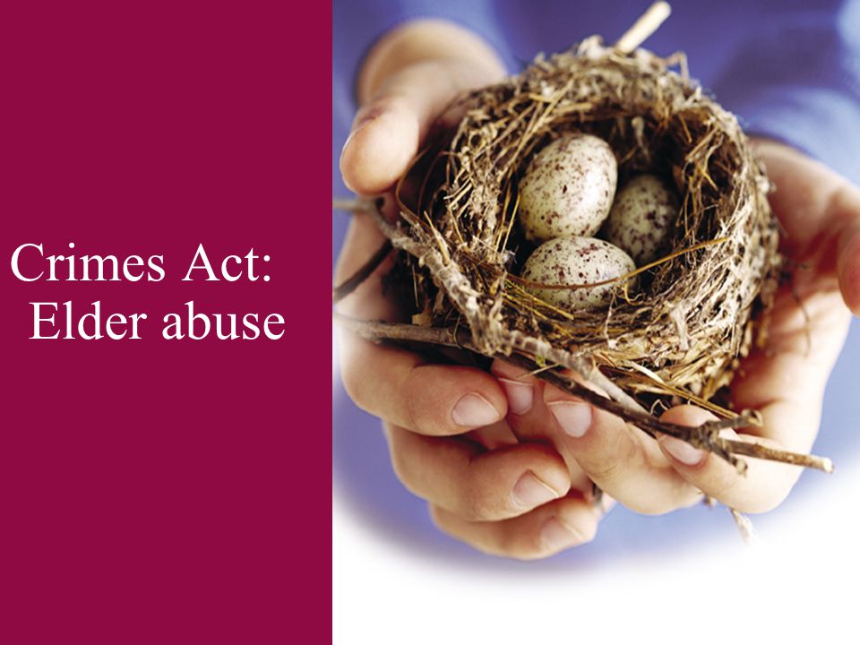 Crimes Act: Elder abuse