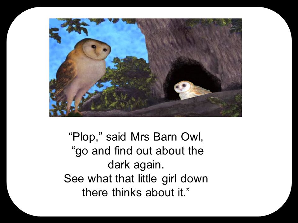 Plop, said Mrs Barn Owl, go and find out about the dark again.