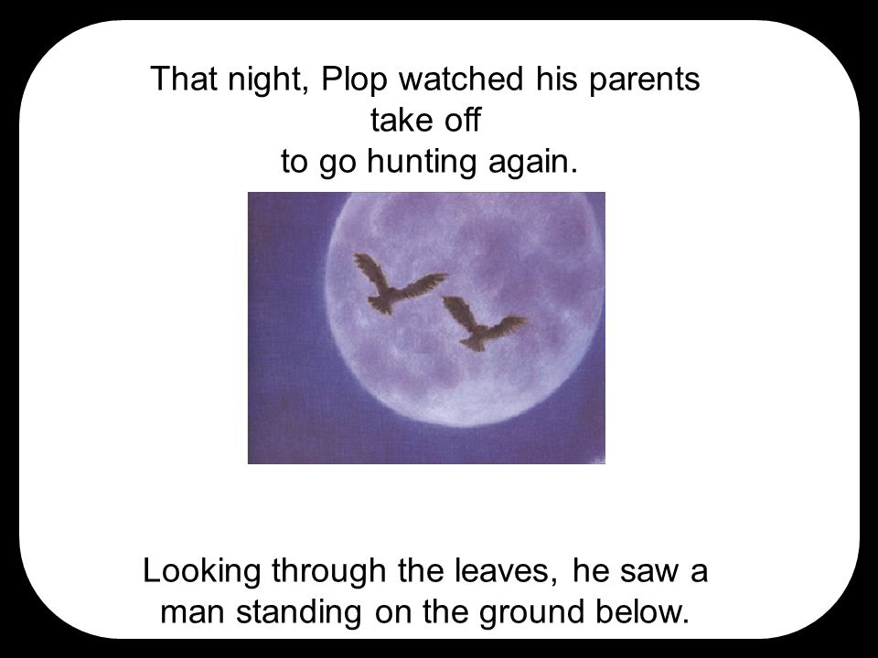 That night, Plop watched his parents take off to go hunting again.
