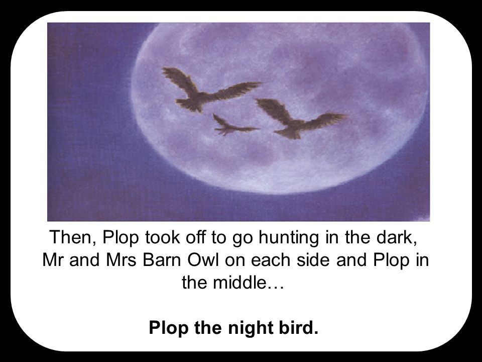 Then, Plop took off to go hunting in the dark, Mr and Mrs Barn Owl on each side and Plop in the middle… Plop the night bird.