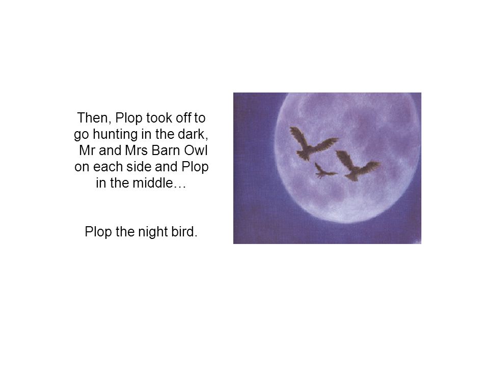 Then, Plop took off to go hunting in the dark, Mr and Mrs Barn Owl on each side and Plop in the middle… Plop the night bird.
