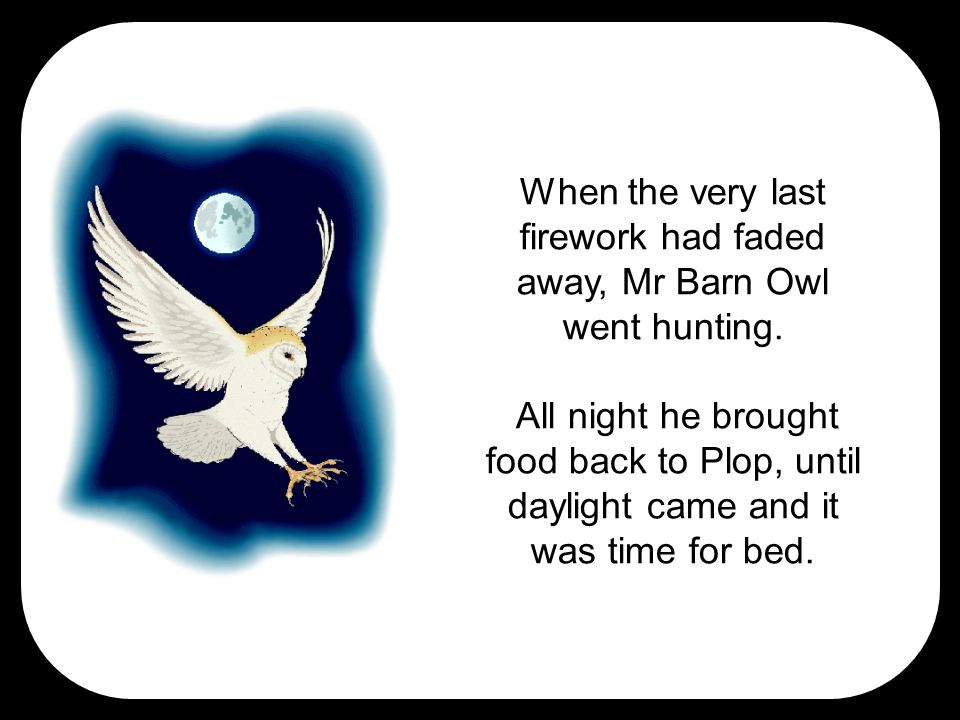 When the very last firework had faded away, Mr Barn Owl went hunting.