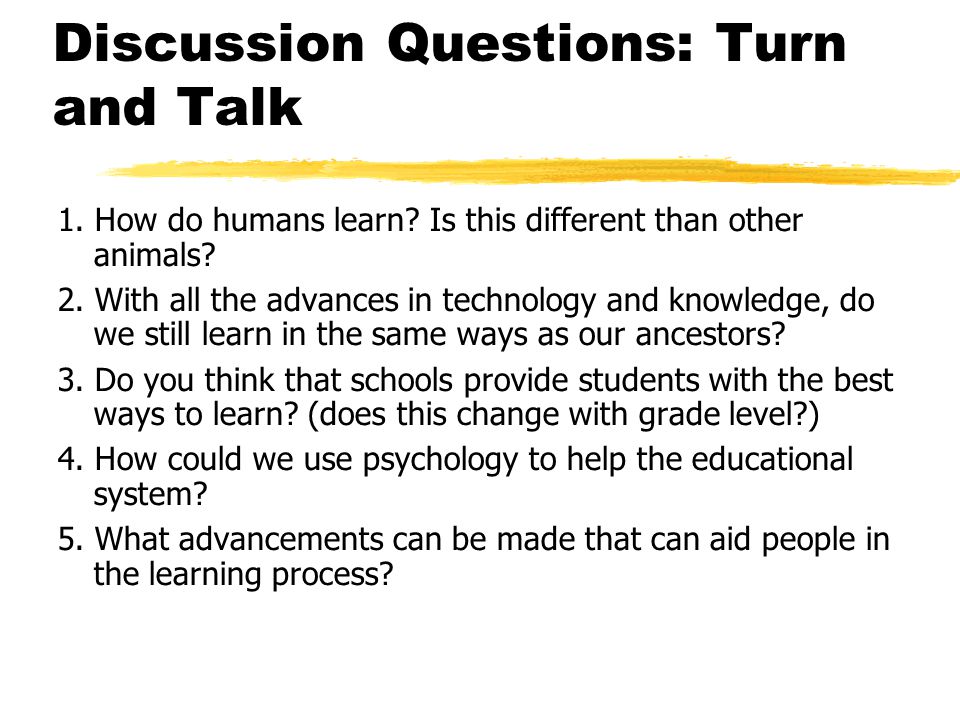 Essay On Psychology