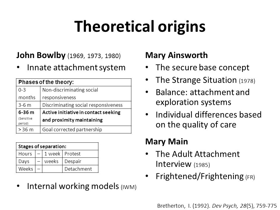 Attachment Theory Essay