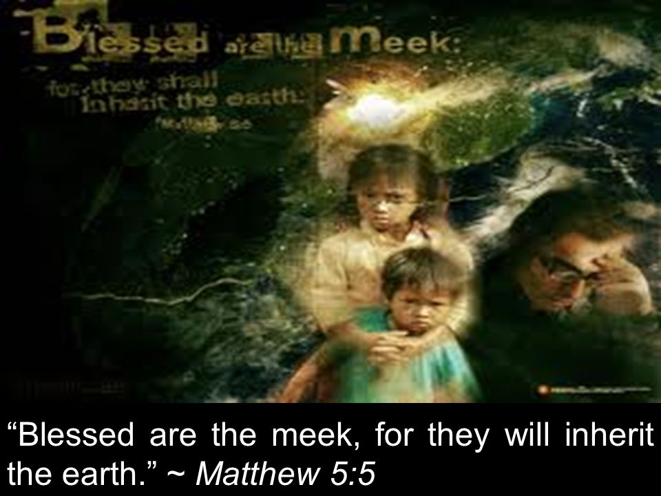 Blessed are the meek, for they will inherit the earth. ~ Matthew 5:5