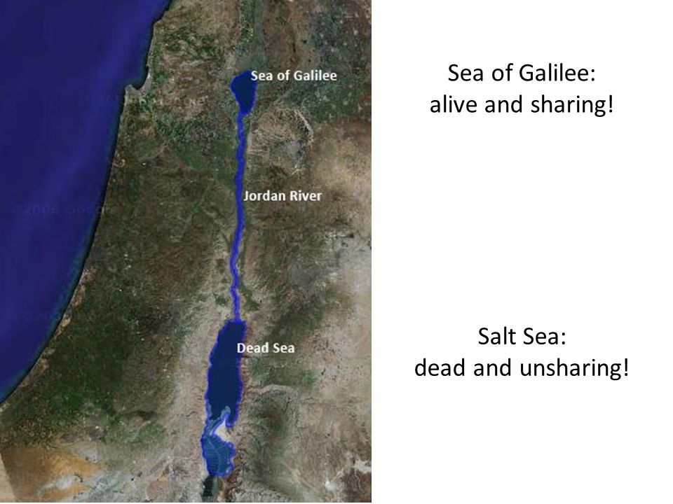 Sea of Galilee: alive and sharing! Salt Sea: dead and unsharing!