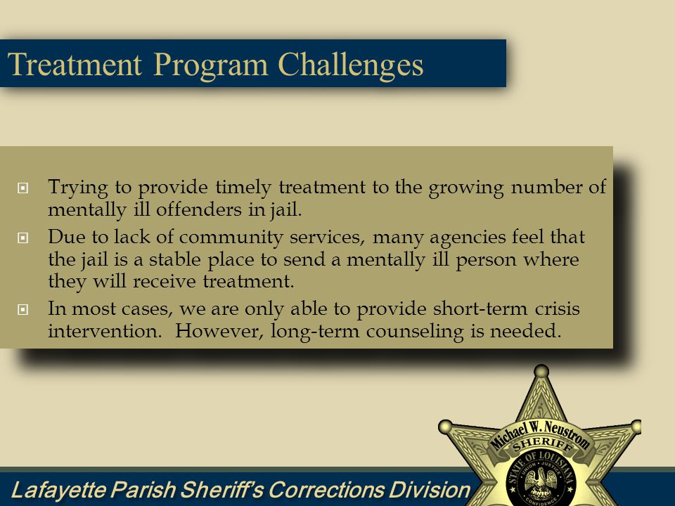 Treatment Program Challenges  Trying to provide timely treatment to the growing number of mentally ill offenders in jail.