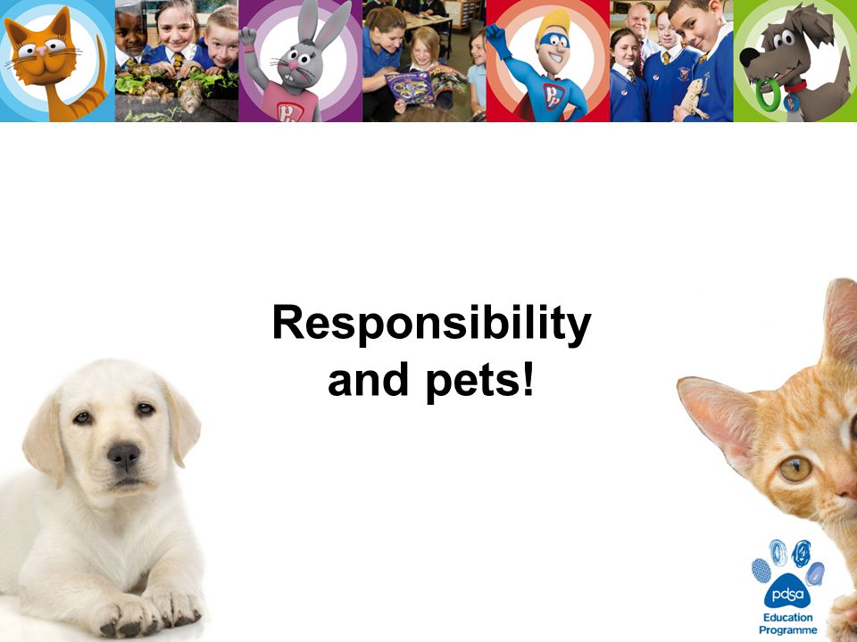 Responsibility and pets!