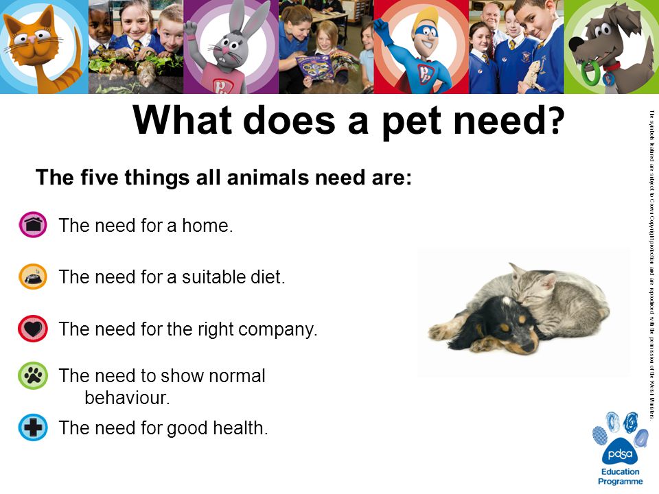 The need for good health. The five things all animals need are: The need for a home.