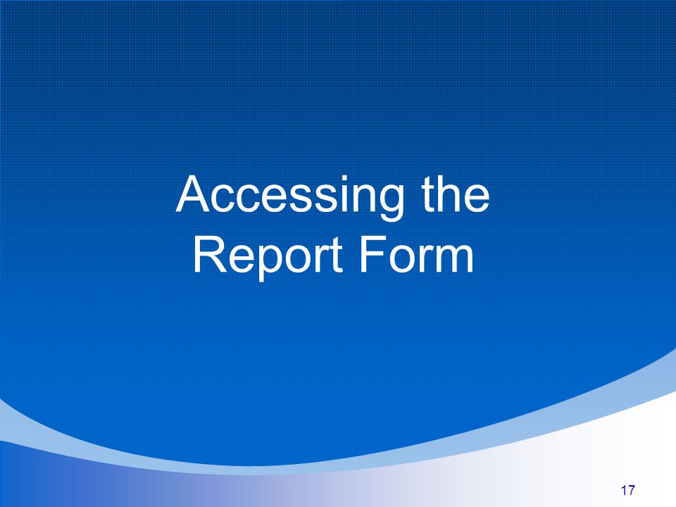 17 Accessing the Report Form