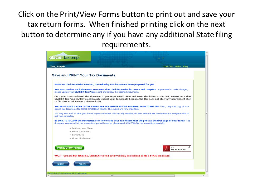 Click on the Print/View Forms button to print out and save your tax return forms.